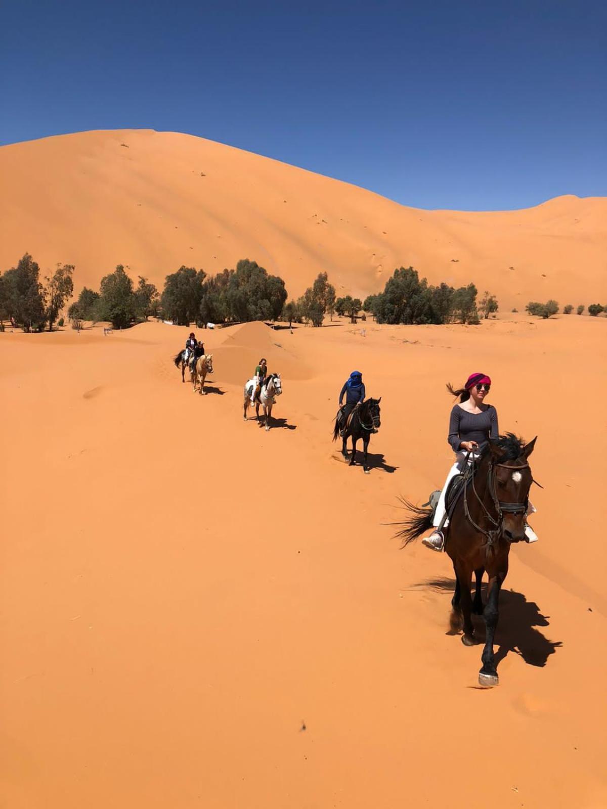 Sahara House Hotel Merzouga Exterior photo